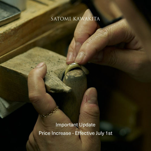 Important Update: Price Increase Effective July 1st