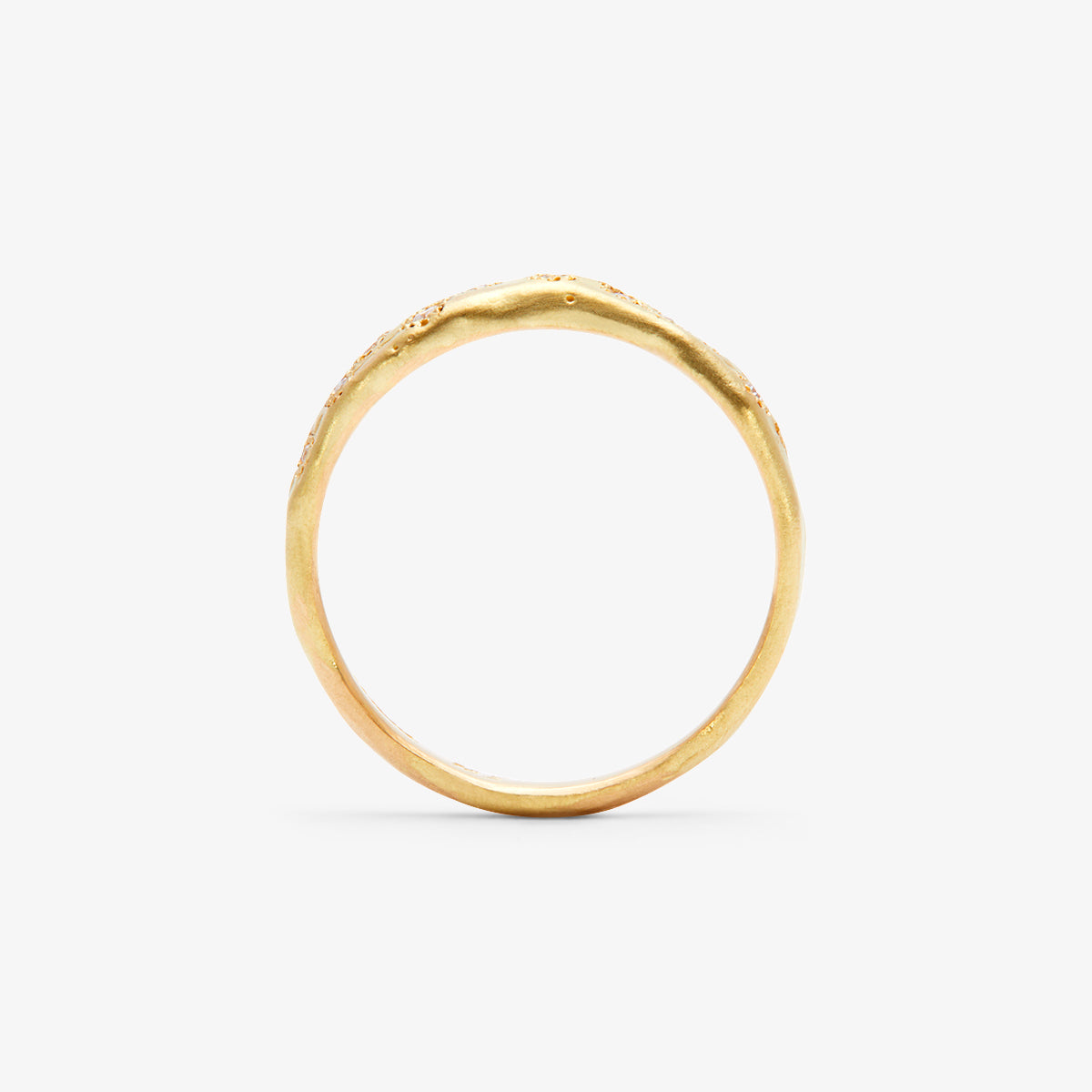 Encrusted Diamond Band | R21001W